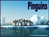 Pinguins